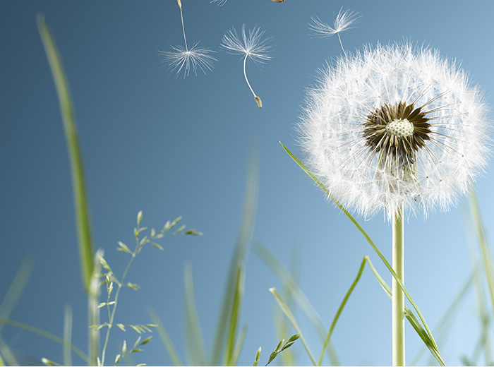 来利国际W66的愿景